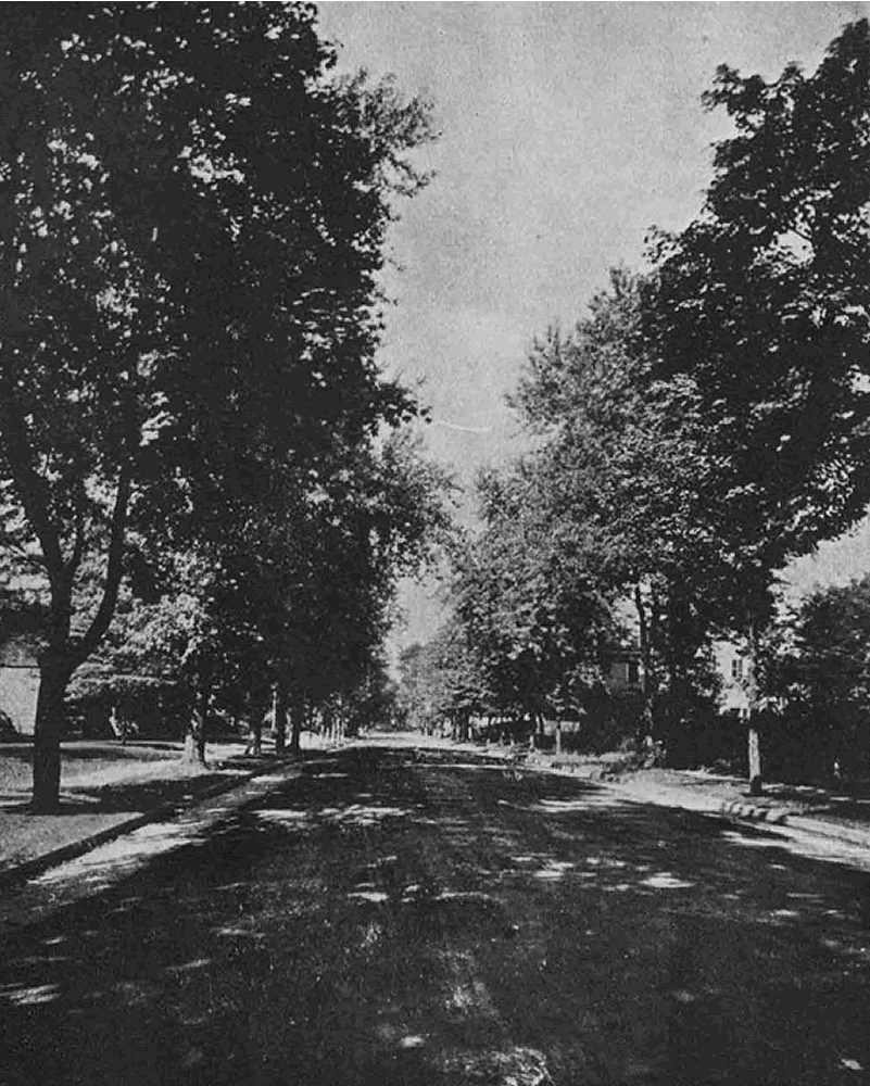 Lincoln Avenue
From "Shade Tree Commission of the City of Newark, New Jersey" 1908

