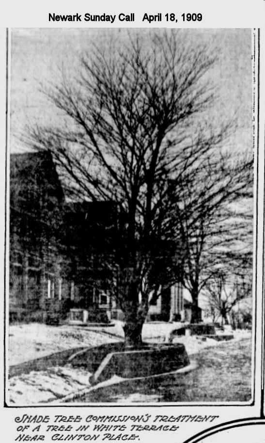 White Terrace near Clinton Place
1909
