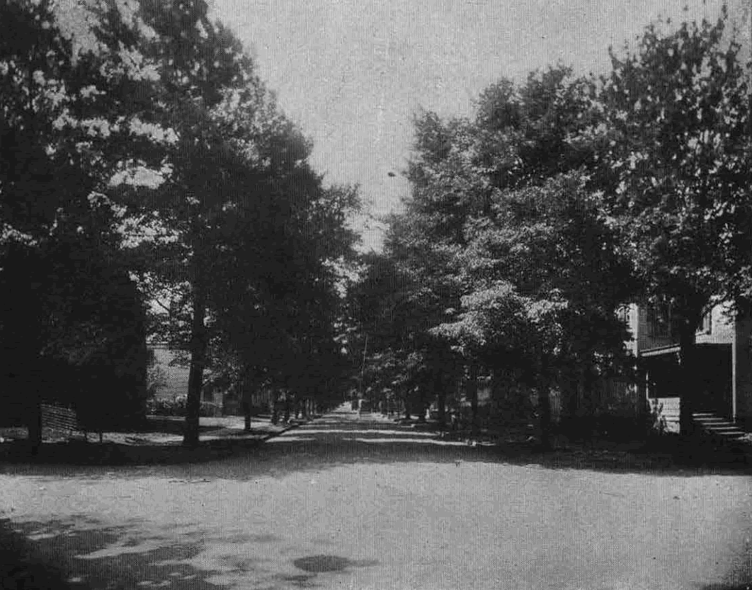 South Eleventh Street & Gould Avenue
From "Shade Tree Commission of the City of Newark, New Jersey" 1908
