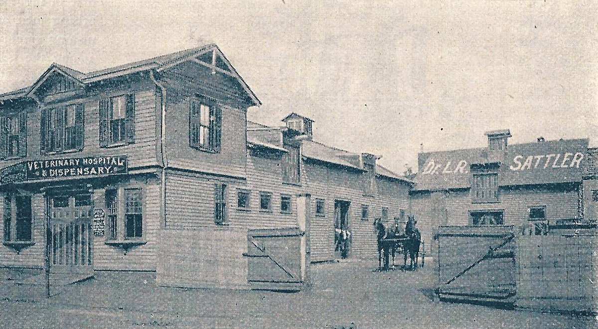 104 Boyd Street
Dr. L. R. Sattler Veterinary Hospital
From "Newark - New Jersey's Greatest Manufacturing Centre, Illustrated" Published 1894 by The Consolidated Illustrating Co.
