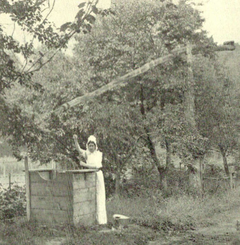 Delevan Avenue
Around the rear of 142
