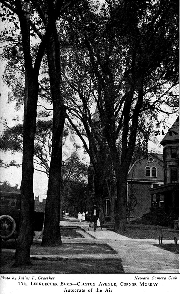 Clinton Avenue near Murray Street
From "Shade Tree Commission of the City of Newark, New Jersey" 1918
