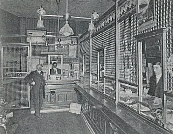 203 Springfield Avenue
~1908
Edward Prokocimer
Banker & Steamship Ticket Broker
