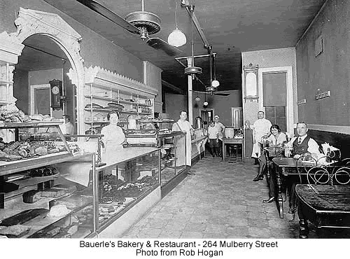 264 Mulberry Street
