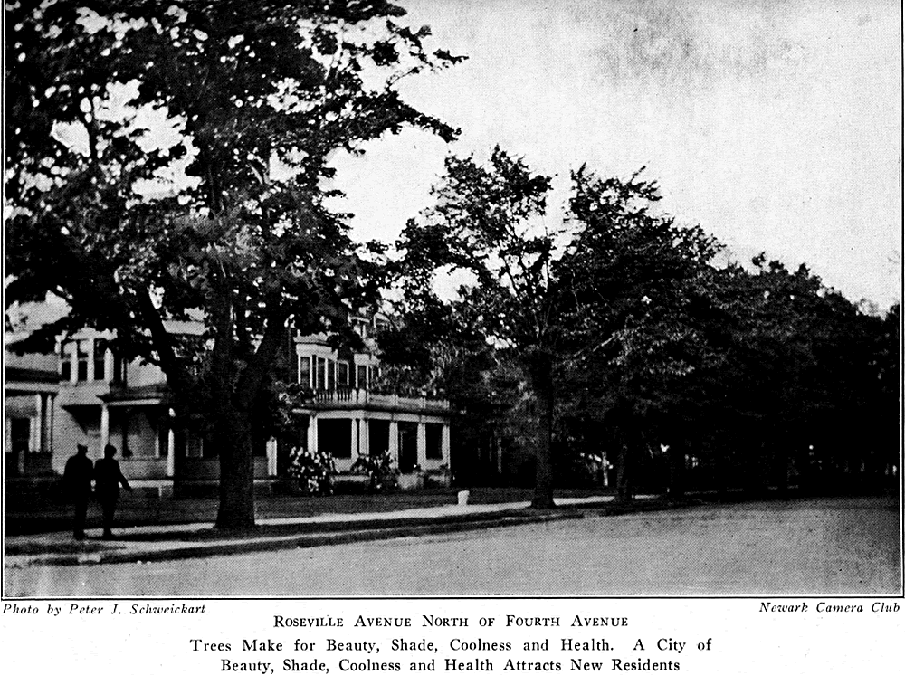 Roseville Avenue north of Fourth Avenue
From "Shade Tree Commission of the City of Newark, New Jersey" 1918
