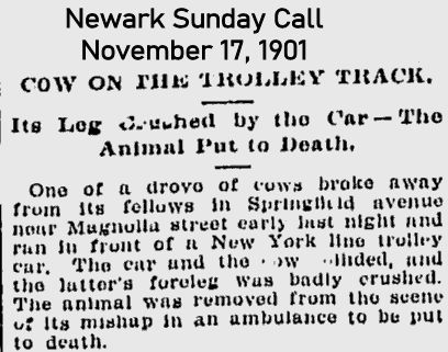 Cow on the Trolley Track
November 17, 1901
