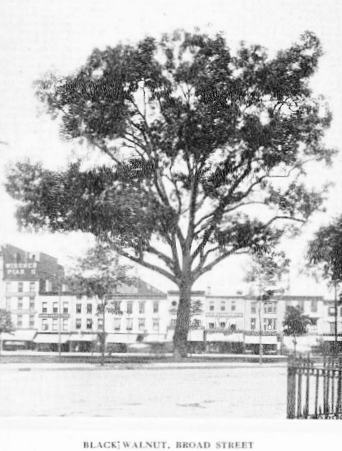 585-603 Broad Street
~1910
