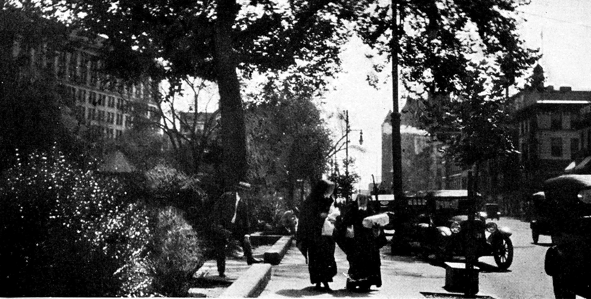 Military Park
From "Shade Tree Commission of the City of Newark, New Jersey" 1918
