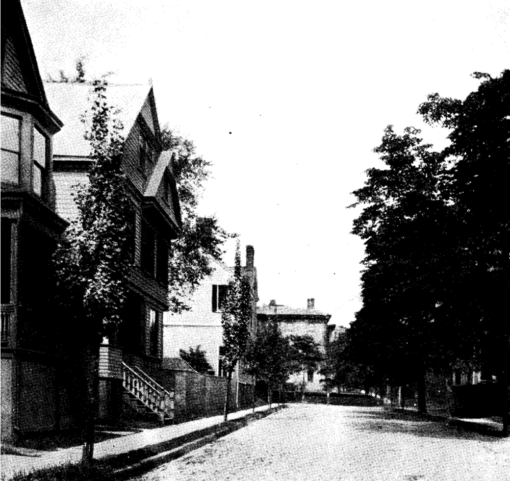 Parkhurst Street
From "Shade Tree Commission of the City of Newark, New Jersey" 1914
