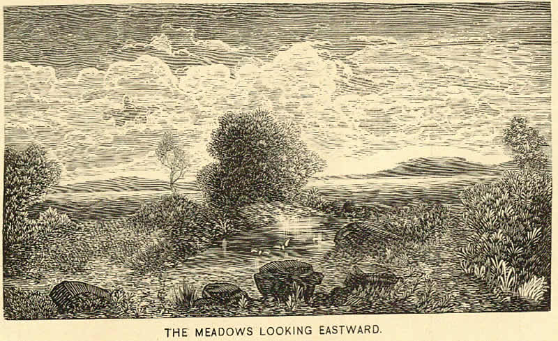 Looking towards the Ironbound
Photo from “History of Newark NJ” by Joseph Atkinson
