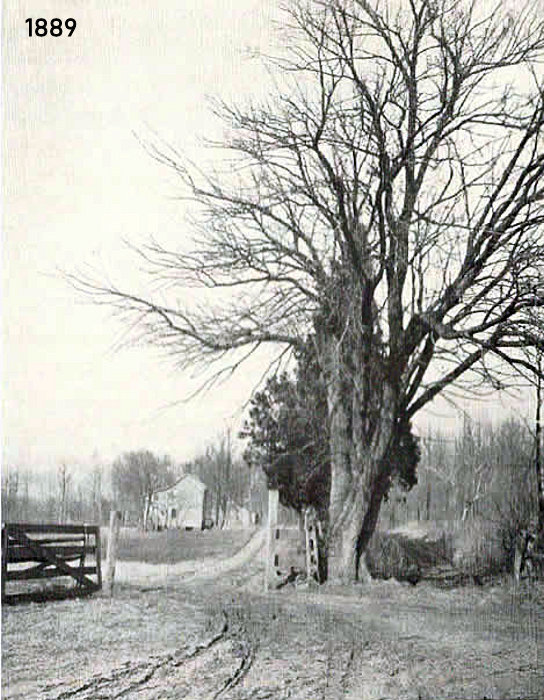 Murphys_Lane~0.jpg