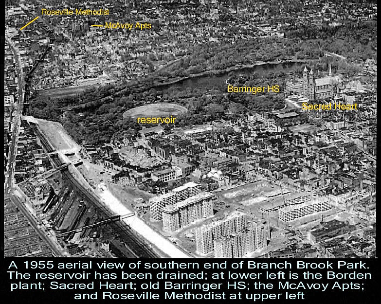 1955
Photo from Alex Borsos Jr.
