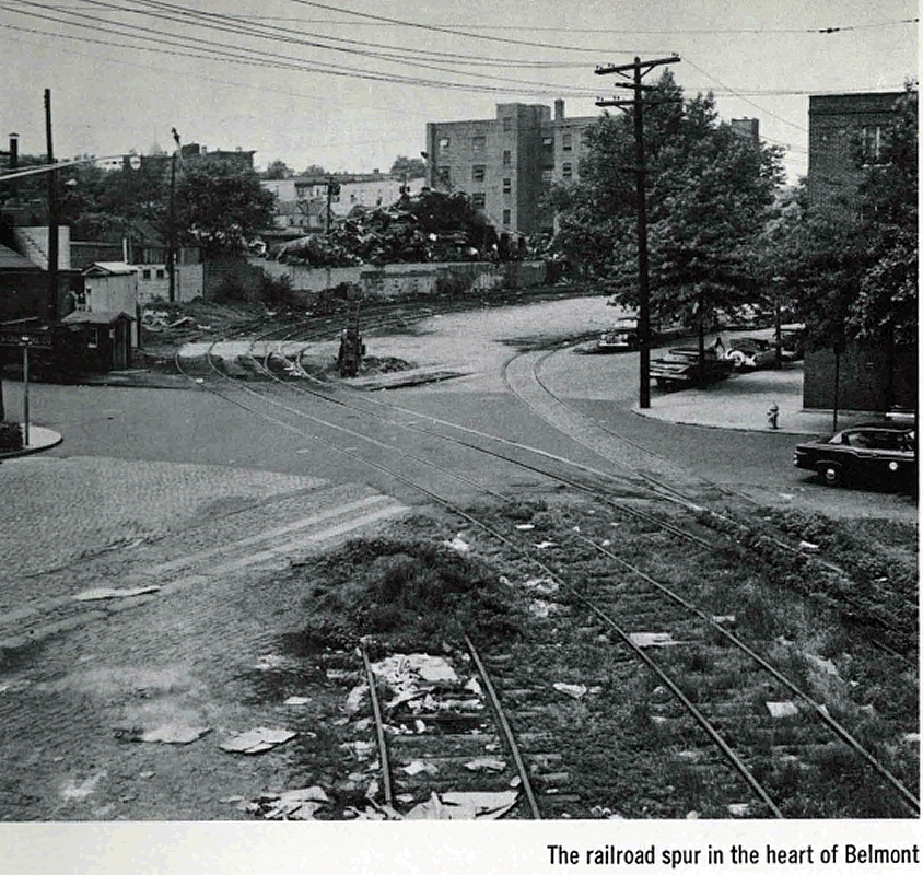 Jelliff Avenue & Rose Street
From: ReNew Newark 1961
