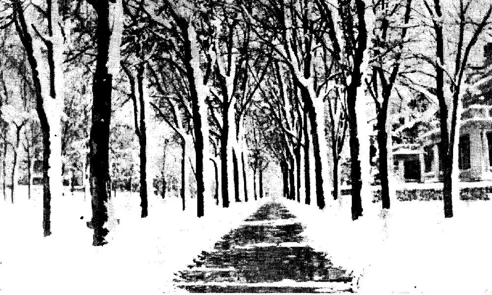 Ballantine Parkway
From "Shade Tree Commission of the City of Newark, New Jersey" 1914
