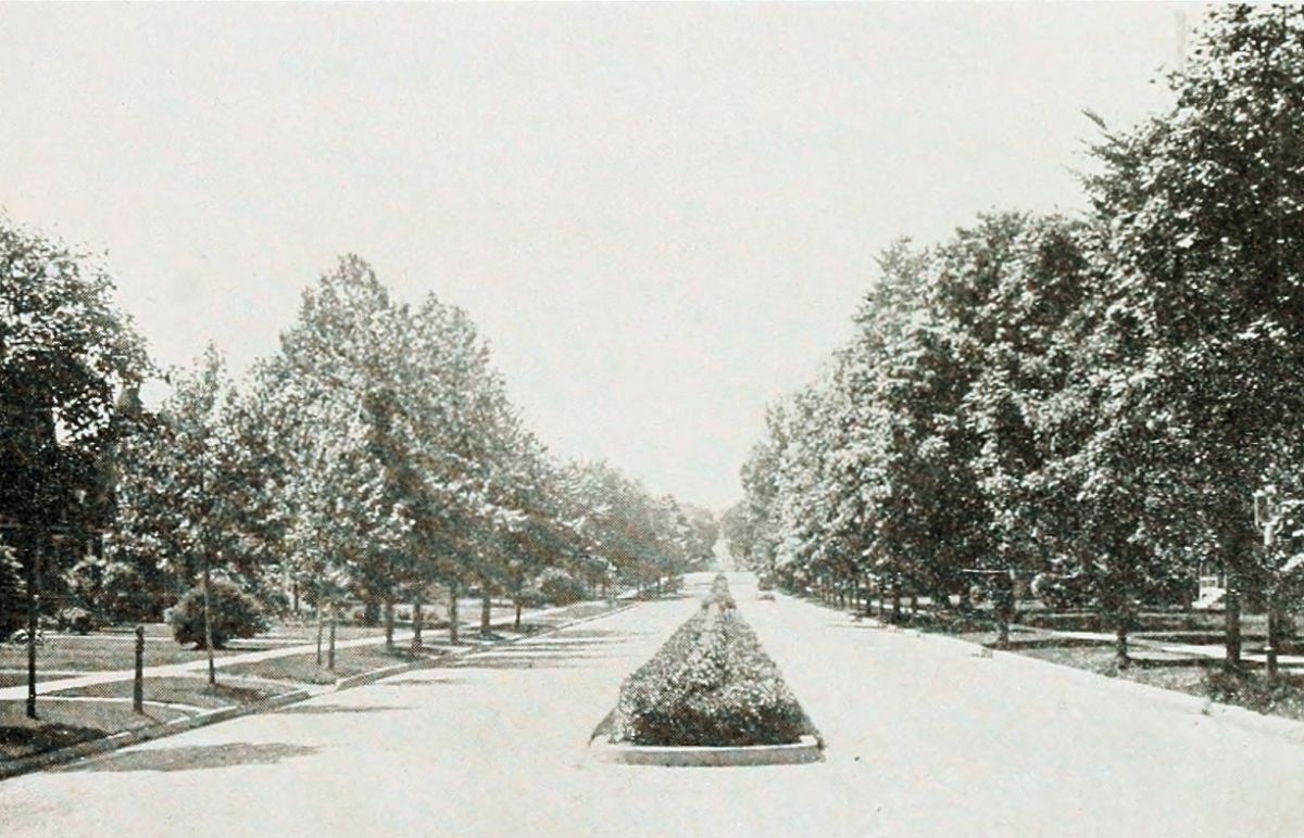 Park Avenue
