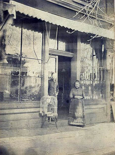 Unknown # Springfield Avenue
Bird Store
