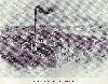 0028avenueb01.gif