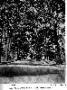 Filename=0070northsixthstreet02.gif
Filesize=322KiB
Dimensions=746x1000
Date added=Jan 13, 2015 0070northsixthstreet02.gif