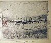 0079mulberrystreet01.gif