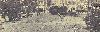 Filename=0124marketstreetlookingwest01.gif
Filesize=434KiB
Dimensions=1200x389
Date added=Mar 10, 2016 0124marketstreetlookingwest01.gif