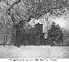 Filename=0201washingtonavenue.gif
Filesize=67KiB
Dimensions=387x350
Date added=Mar 03, 2007 0201washingtonavenue.gif