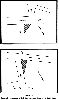 Filename=0208highstreet.gif
Filesize=43KiB
Dimensions=599x1000
Date added=Jan 13, 2015 0208highstreet.gif