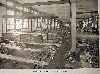 Filename=0394afrelinghuysenavenue.gif
Filesize=212KiB
Dimensions=600x447
Date added=Mar 20, 2007 0394afrelinghuysenavenue.gif