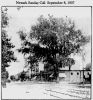 0506clintonavenue1907.jpg