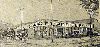 0620orangestreet.gif
