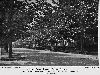 Filename=9999berkeleyavenue01.gif
Filesize=339KiB
Dimensions=1057x796
Date added=Jan 13, 2015 9999berkeleyavenue01.gif