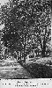 Filename=9999lakestreet01.gif
Filesize=309KiB
Dimensions=598x1000
Date added=Jan 13, 2015 9999lakestreet01.gif