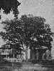 Filename=9999mountprospectavenue.gif
Filesize=296KiB
Dimensions=763x1000
Date added=Jan 12, 2015 9999mountprospectavenue.gif