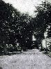 Filename=9999northfifthstreet01.gif
Filesize=344KiB
Dimensions=604x807
Date added=Jan 12, 2015 9999northfifthstreet01.gif