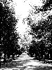 Filename=9999thirdavenue01.gif
Filesize=314KiB
Dimensions=750x1000
Date added=Jan 12, 2015 9999thirdavenue01.gif