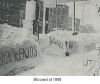 Filename=broadstreetblizzard88.jpg
Filesize=27KiB
Dimensions=346x292
Date added=Nov 13, 2006 broadstreetblizzard88.jpg