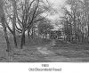 Filename=oldbloomfieldroad.jpg
Filesize=40KiB
Dimensions=356x292
Date added=Nov 10, 2006 oldbloomfieldroad.jpg