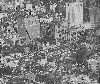 overviewdowntown151966.gif