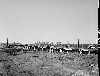Filename=southstreetviaduct10.gif
Filesize=767KiB
Dimensions=1218x936
Date added=Mar 19, 2016 southstreetviaduct10.gif
